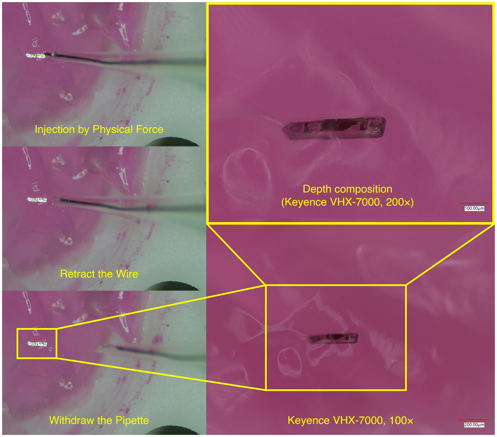 MOTE delivery into agarose, followed by retraction of the silver wire and withdrawal of the glass pipette, with microscopic views of the implanted device.