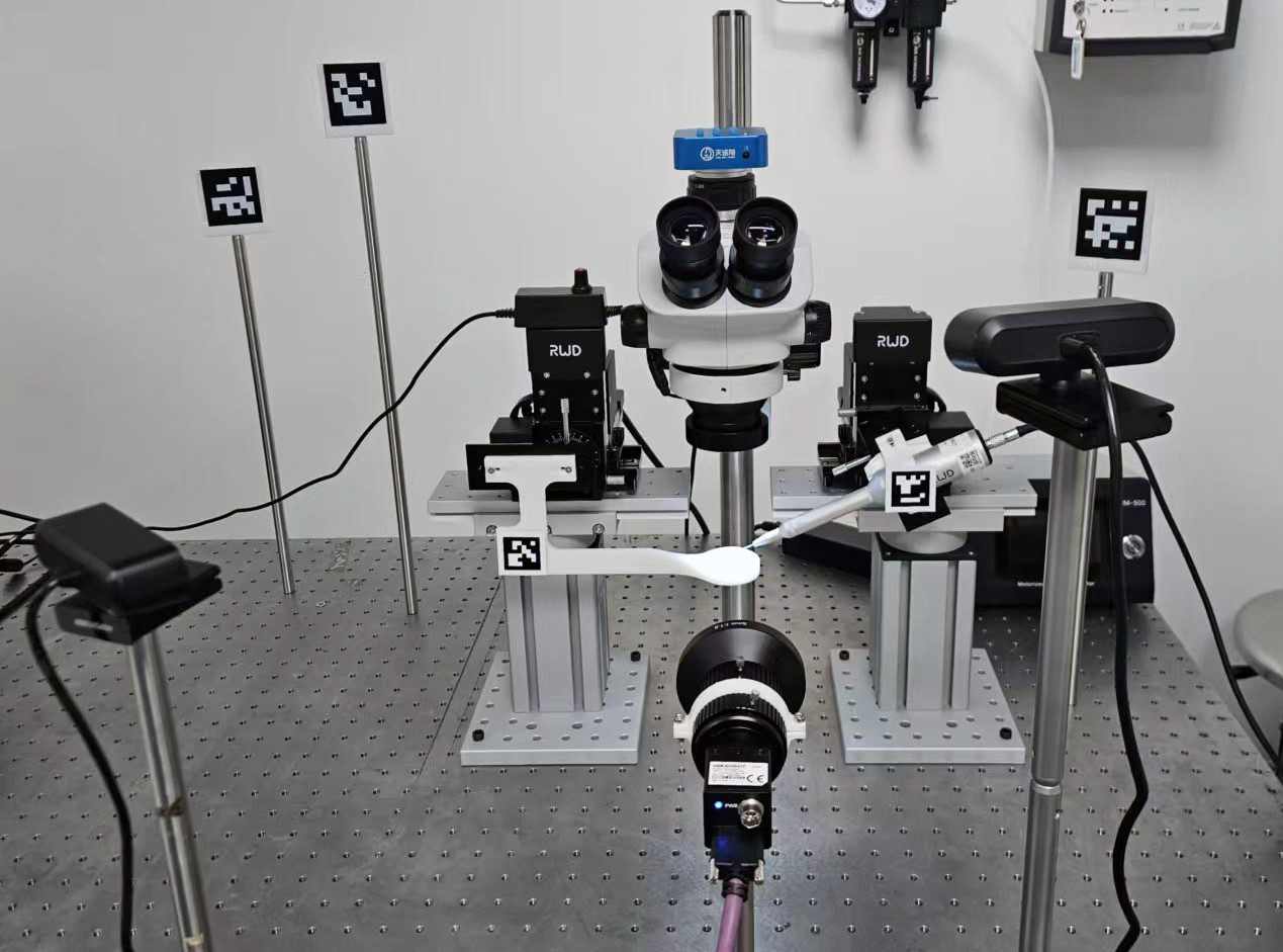 Microscope, cameras, fiducial markers and micromanipulators in the injection setup.